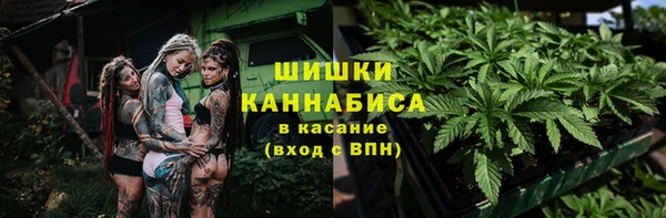 PSILOCYBIN Волгодонск